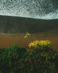 COSTA RICA - Pura Vida